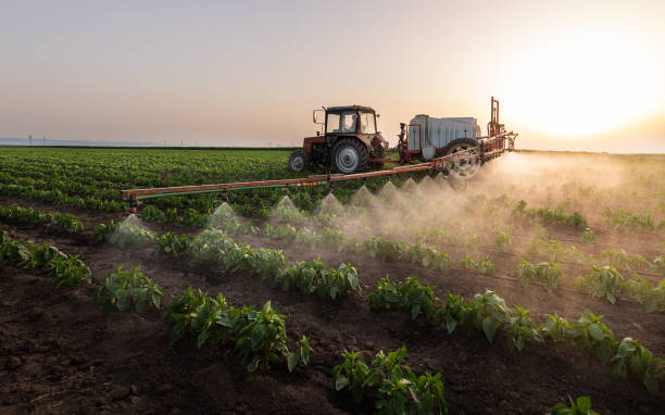 Best Pest Prevention Services  in Paw Paw Lake, MI