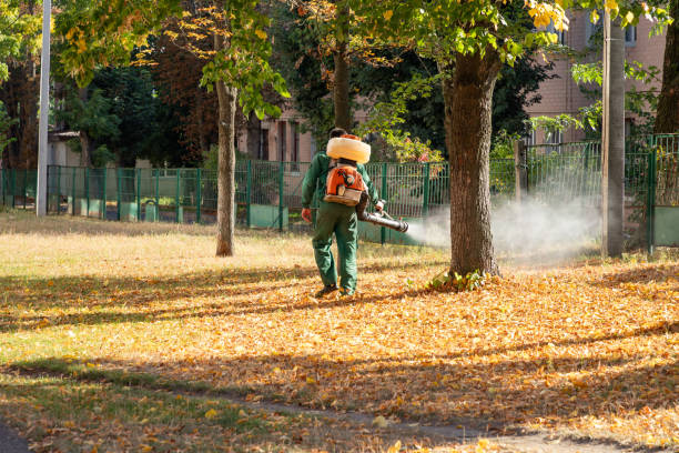 Trusted Paw Paw Lake, MI Pest Control Experts